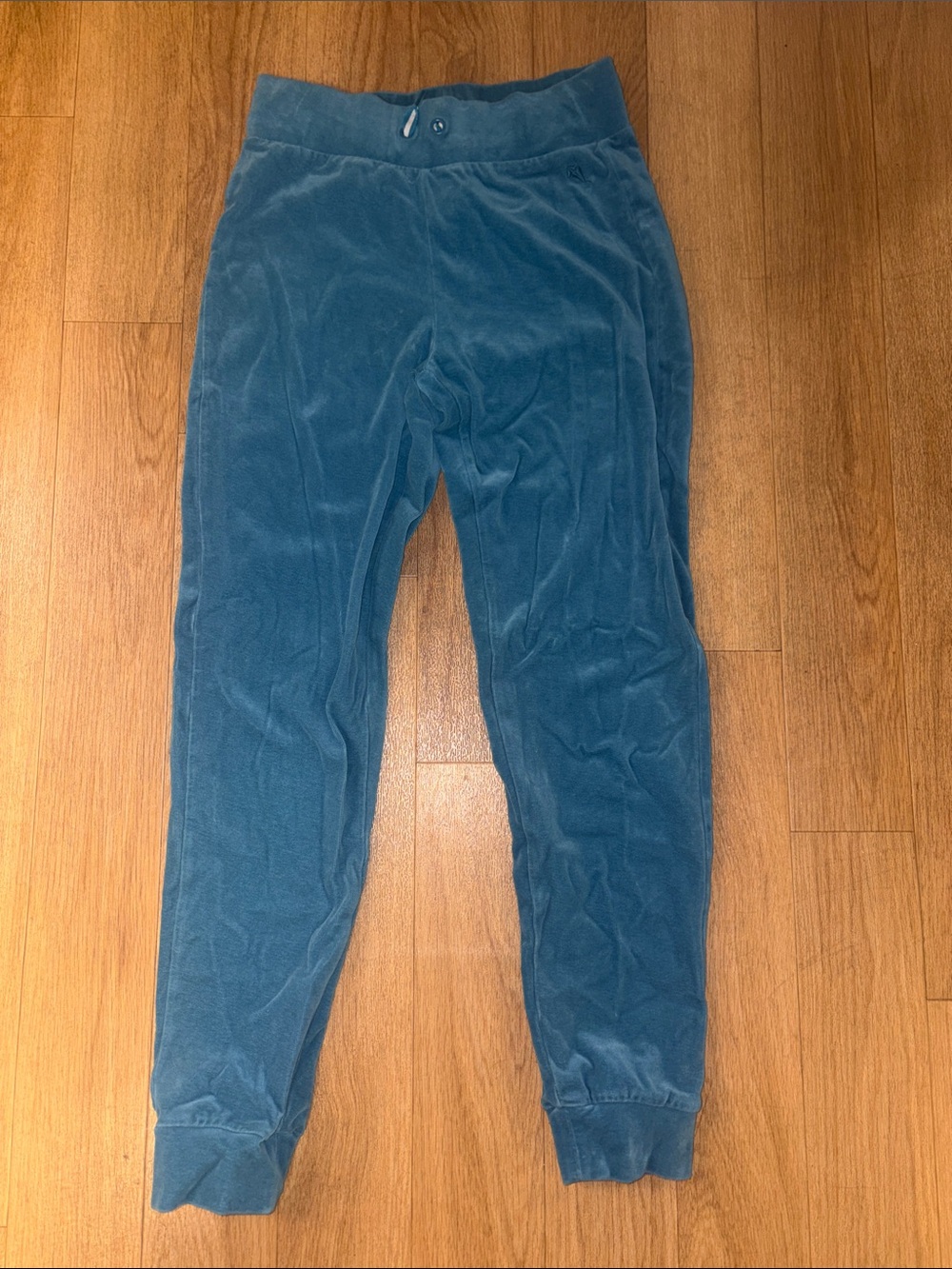 Women's Velour Organic Cotton Pants in Teal Blue